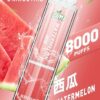 LIMI 8000 PUFFS 發光拋棄式電子煙 台灣電子煙批發 現貨