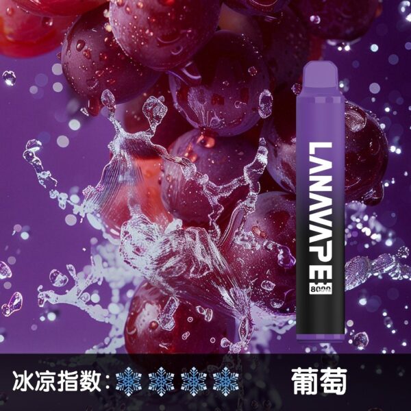 LANA 8000 PUFFS 拋棄式一次性電子煙 台灣電子煙推薦